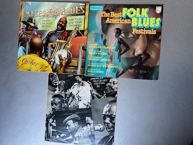 Drie mooie blues lps (één dubbel lp), Cd's en Dvd's, Vinyl | Jazz en Blues, Ophalen of Verzenden, Zo goed als nieuw, Blues
