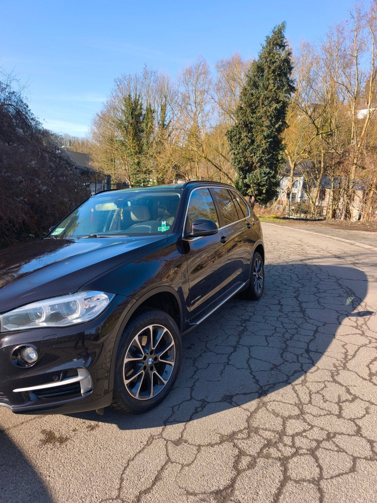 BMW X5, Autos, Achat, X5, Diesel, Automatique