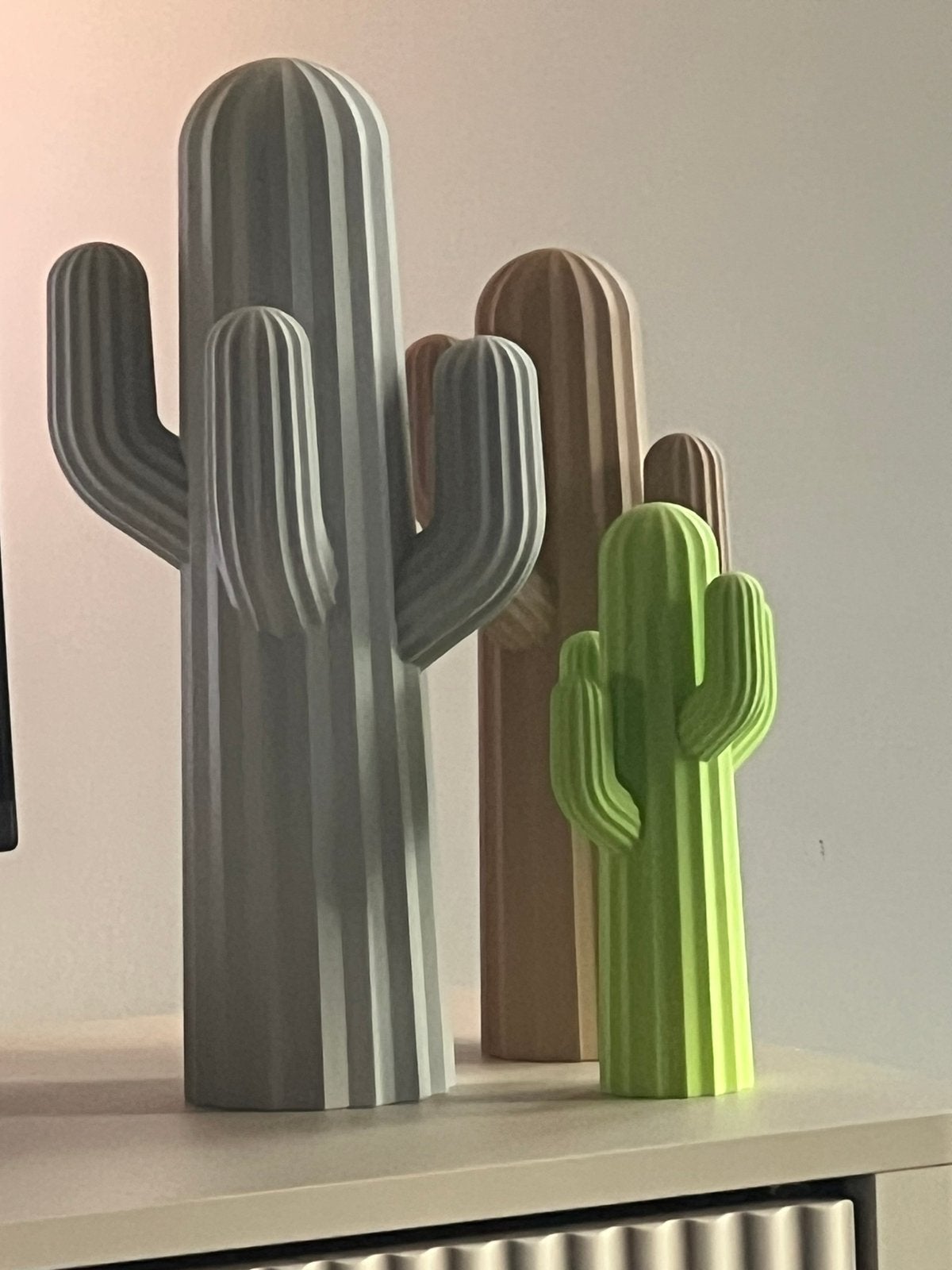 Deco binnen buiten Japandi  cactus, Enlèvement ou Envoi, Neuf