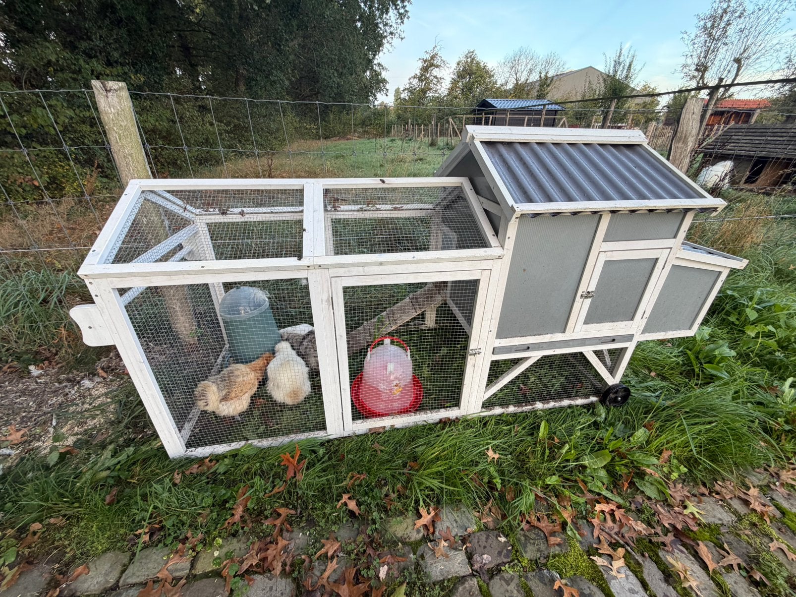 Sierkippen + kippenhok, Dieren en Toebehoren, Ophalen, Zo goed als nieuw