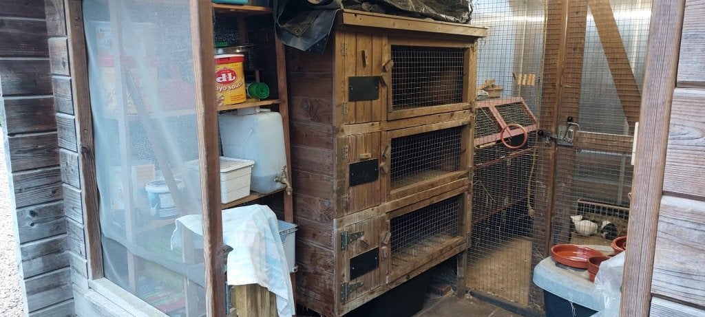 Konijnen/ cavia flat, Dieren en Toebehoren, Ophalen, Gebruikt, Hok, Konijn