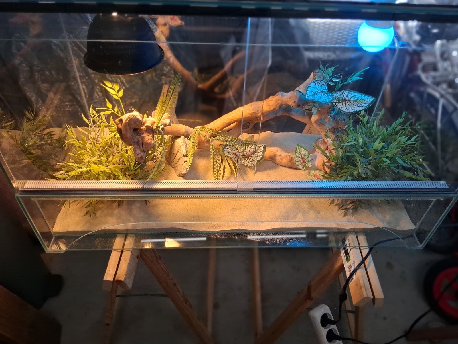 Terrarium, Ophalen