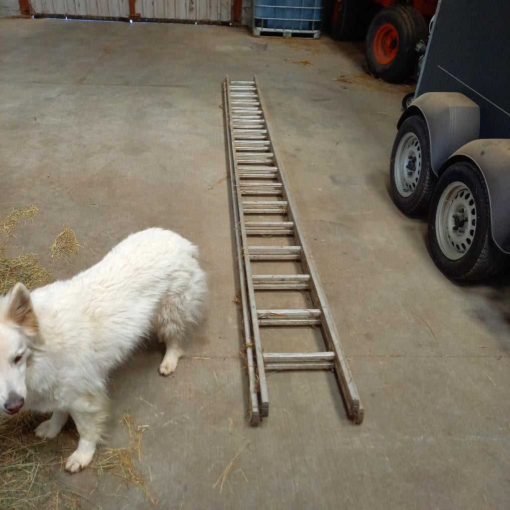 ladder, Doe-het-zelf en Bouw, Ladders en Trappen, Ophalen, Gebruikt, Ladder, Opvouwbaar of Inschuifbaar