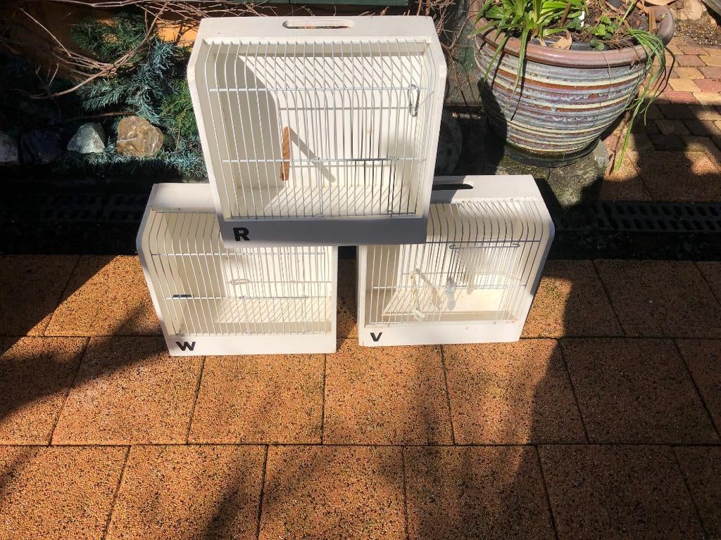 3  x TT kooi wit, Dieren en Toebehoren, Vogels | Hokken en Kooien, Ophalen, Zo goed als nieuw, Hout, Overige typen