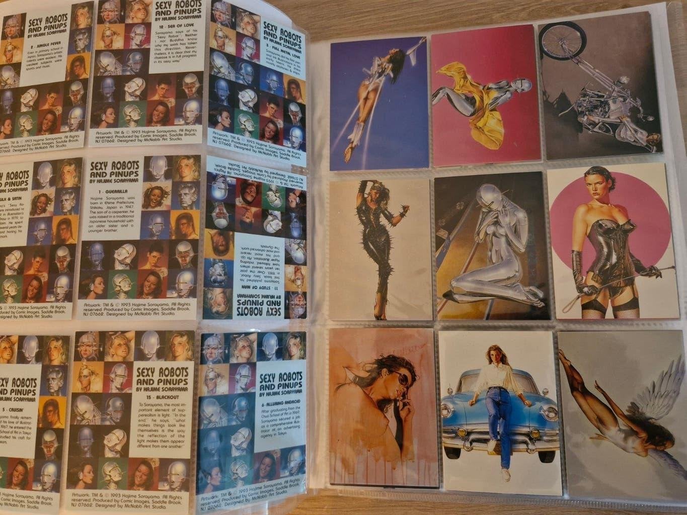 Cards Sexy robots and pinups, Wildstorm, 189 vrschllnd + map, Hobby & Loisirs créatifs, Jeux de cartes à collectionner | Autre