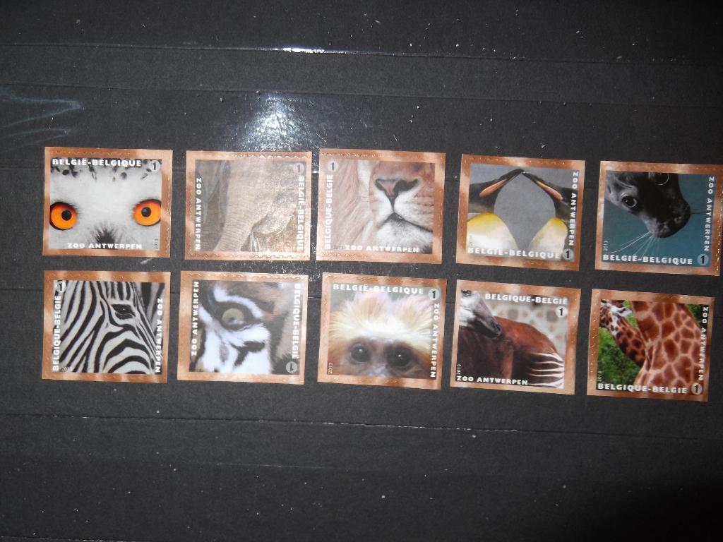4340-4349 Zoo Antwerpen - Zoo Anvers MNH, Ophalen of Verzenden, Postfris, Frankeerzegel