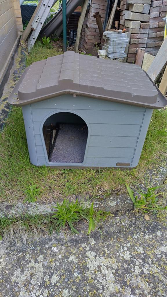 Cage extérieure pour chats/petits chiens, Enlèvement