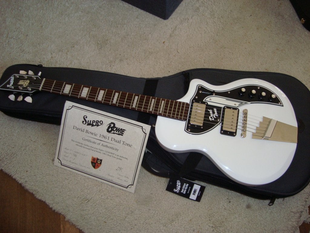 Supro Bowie, Hoyer, Hagstrom, Eastwood, PRS, Muziek en Instrumenten, Snaarinstrumenten | Gitaren | Elektrisch, Ophalen, Gebruikt