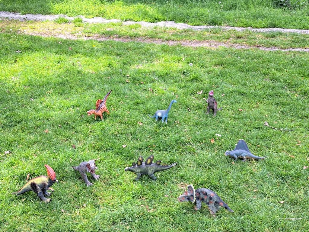 8 Dino 's te koop, Geslacht onbekend, 6 jaar of ouder