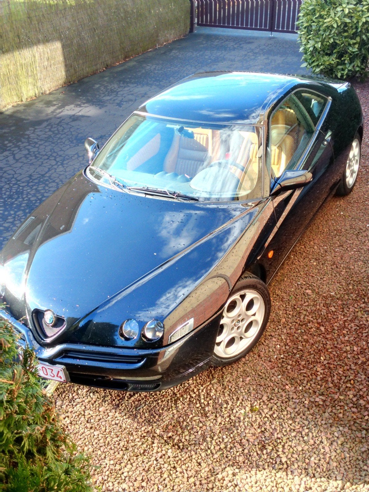 Alfa GTV V6 TB, Autos, Cuir, Beige, 6 cylindres, GTV