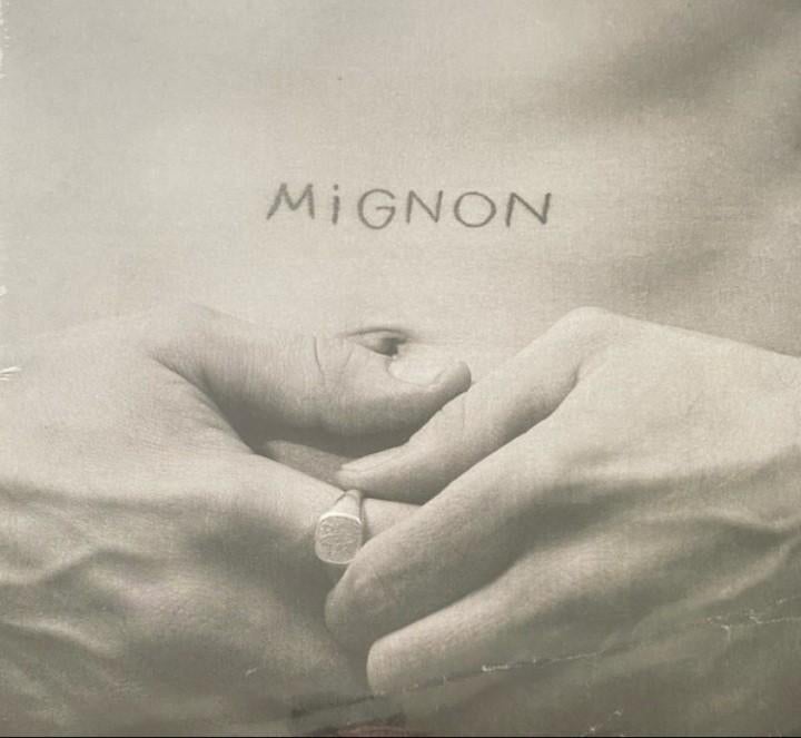 Peet : Mignon Nieuw!, Cd's en Dvd's, Vinyl | Overige Vinyl, Gatefold hoes, 2020 tot heden, Ophalen of Verzenden, 12 inch