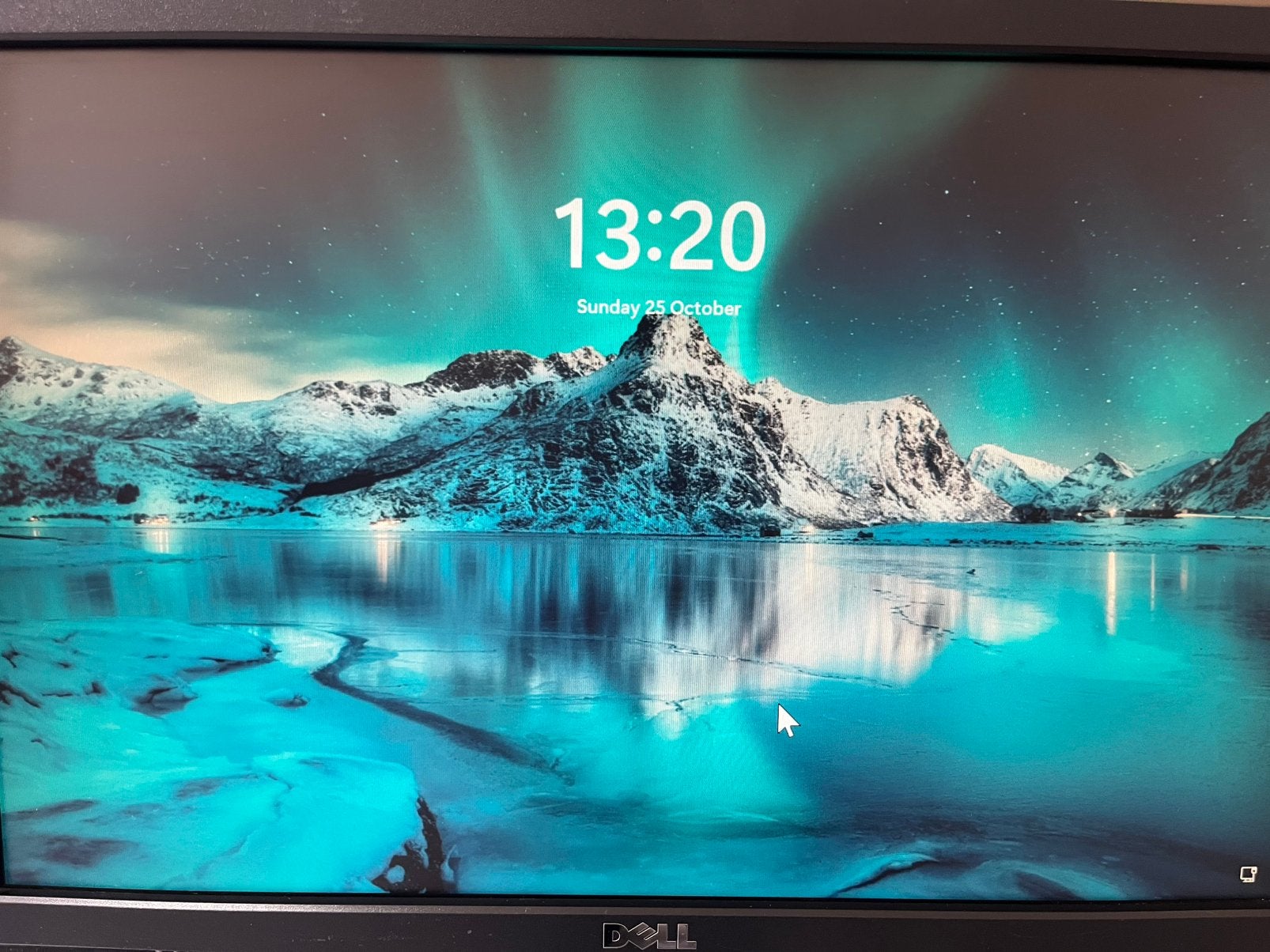 19-inch monitor van Dell, 1440 x 900 pixels, DVI, VGA, Computers en Software, Ophalen, Zo goed als nieuw, DVI