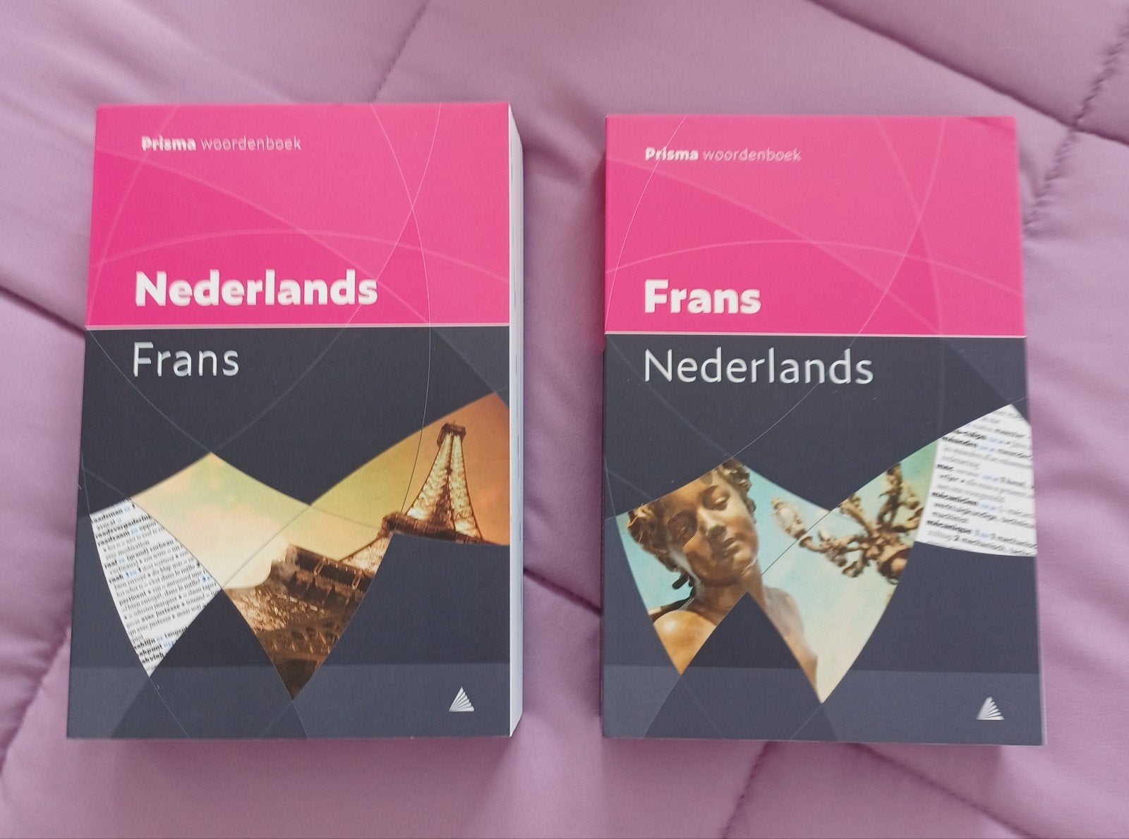 2 woordenboeken Nederlands -Frans en Frans -Nederlands, Livres, Enlèvement, Français