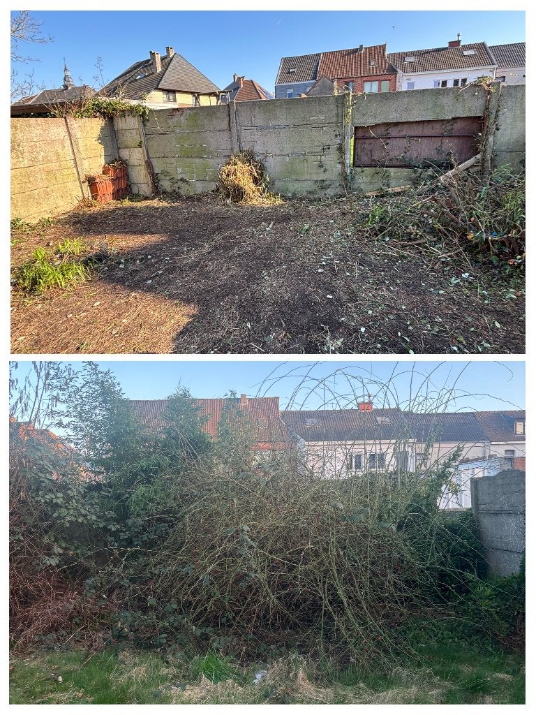 Jardinier, Enlèvement, Neuf