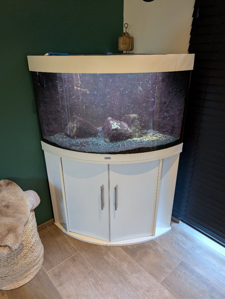 Juwel Trigion, LED, filtre interne, 3 axelotl/Axolotl, Aquarium d'eau douce rempli, Pompe, Enlèvement, Utilisé