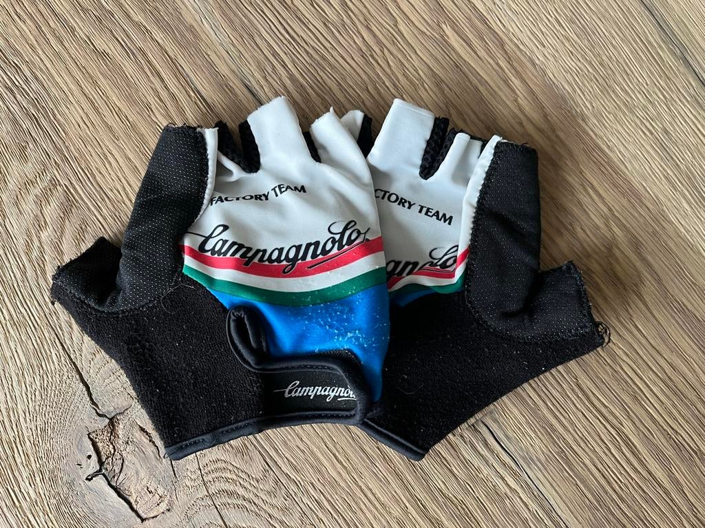 Fietshandschoenen Campagnolo, Gebruikt, Heren, Ophalen of Verzenden, Handschoenen