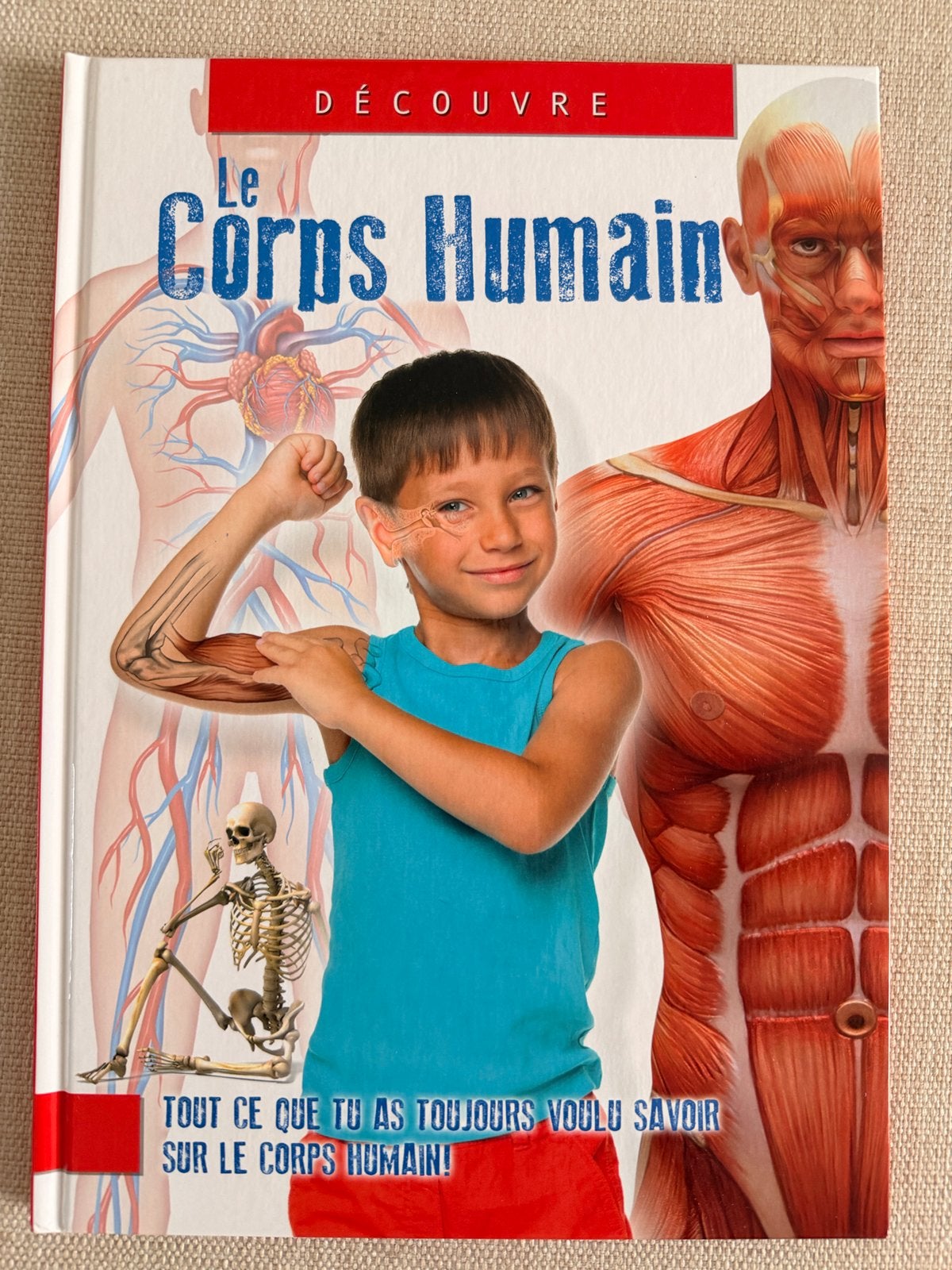 Livre Decouvre le corps humain, Enlèvement ou Envoi, Comme neuf