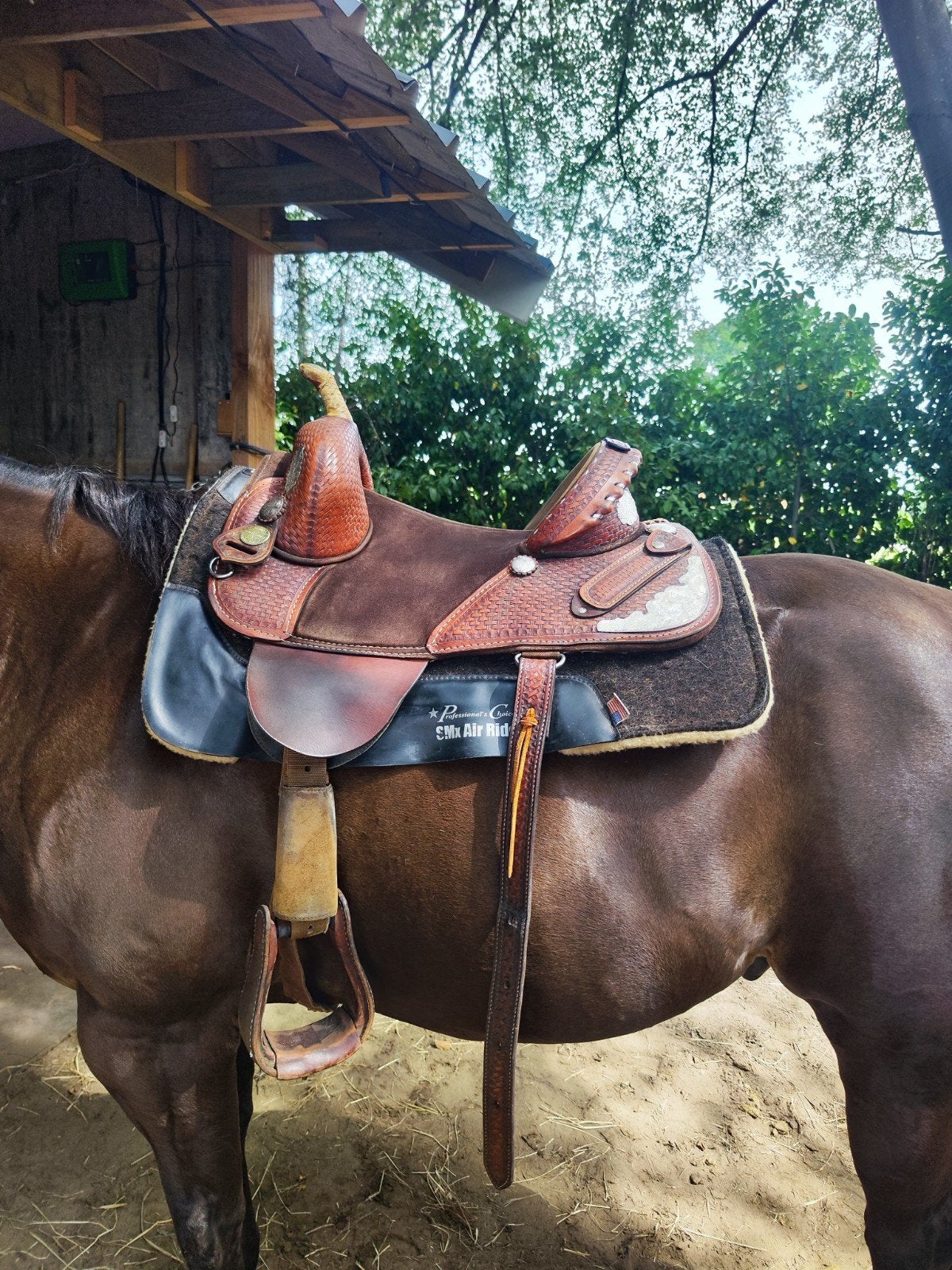 bob marshall western zadel boomloos, Dieren en Toebehoren, Paarden en Pony's | Zadels, Ophalen, XS (15.5 inch of kleiner), Gebruikt