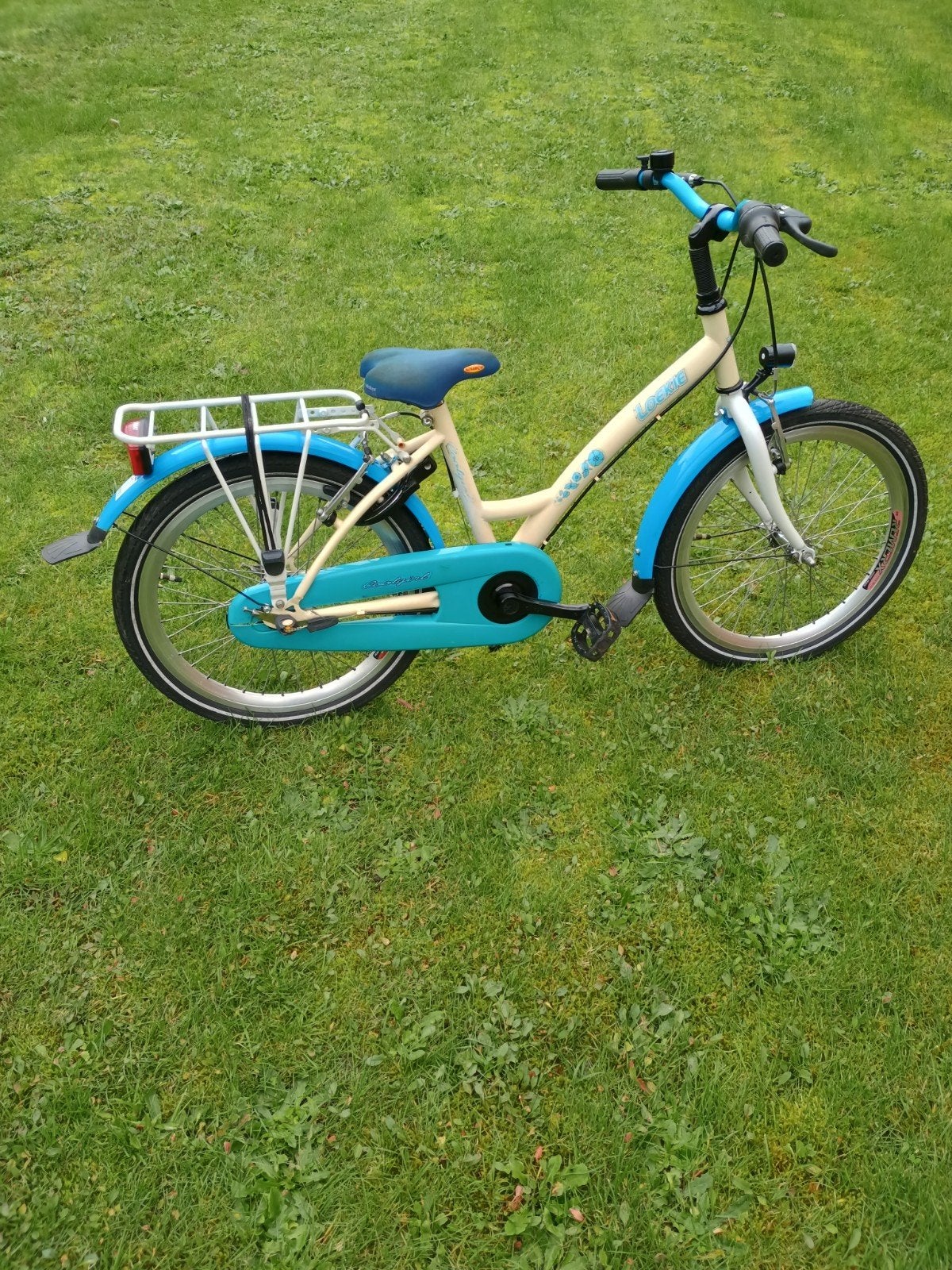 20 inch fiets van het merk Loekie, Fietsen en Brommers, Ophalen, Gebruikt, Velgrem, Loekie