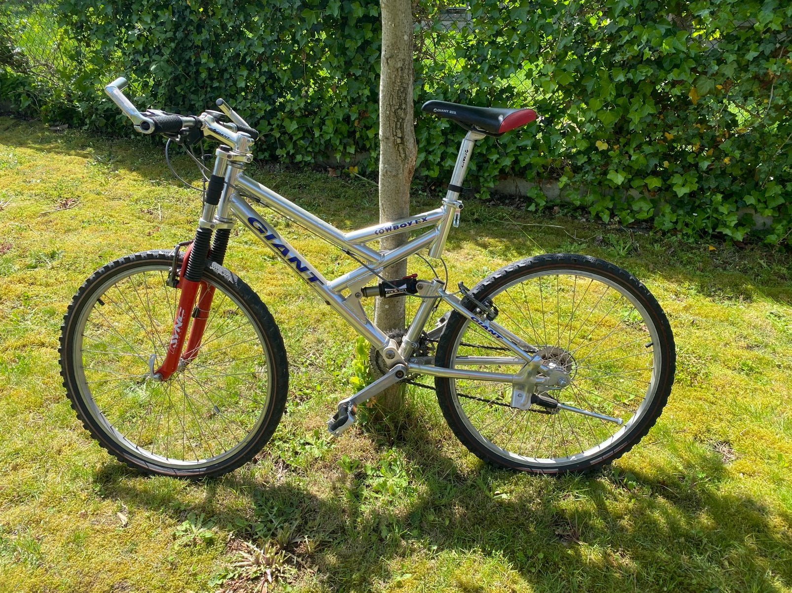 Giant mountainbike, Fietsen en Brommers, Ophalen, Gebruikt, Giant