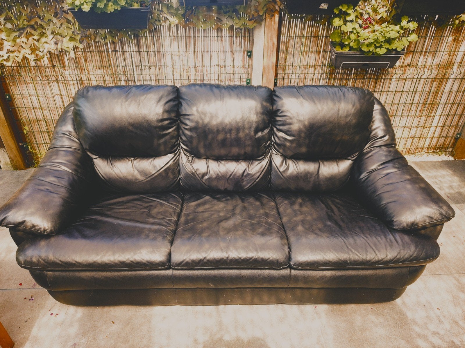 Sofa, Enlèvement, Utilisé, Cuir, Trois personnes