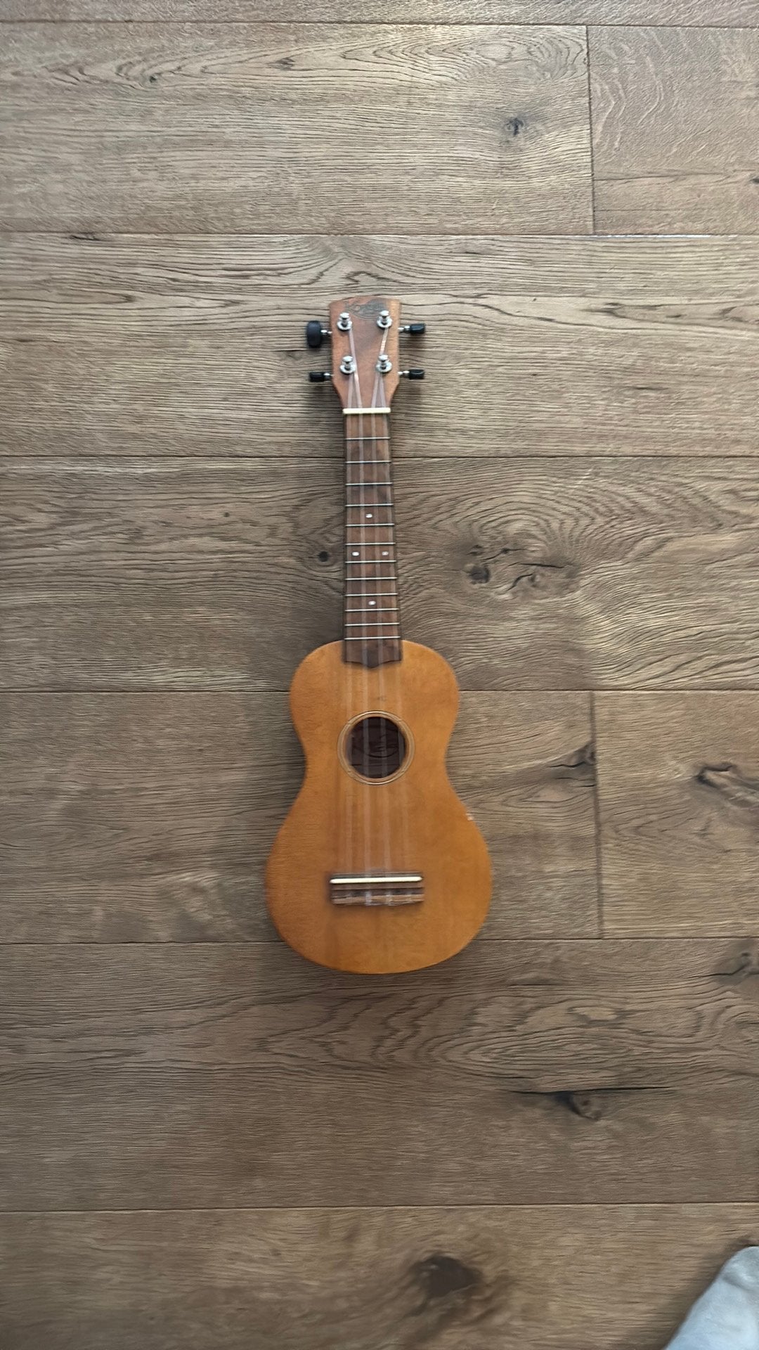 Oekelele, Musique & Instruments, Instruments à corde | Autre, Enlèvement, Comme neuf