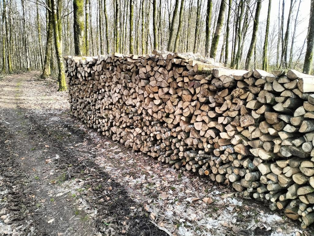 Bois de chauffage, Jardin & Terrasse, 6 m³ ou plus, Enlèvement, Autres essences de bois, Bûches