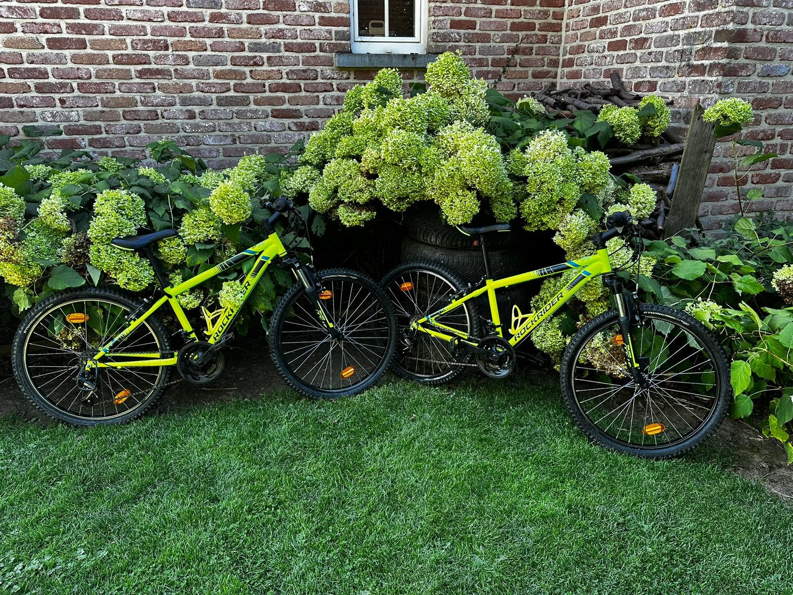 Vélos Rockrider jaune, Enlèvement, Utilisé, 20 pouces ou plus