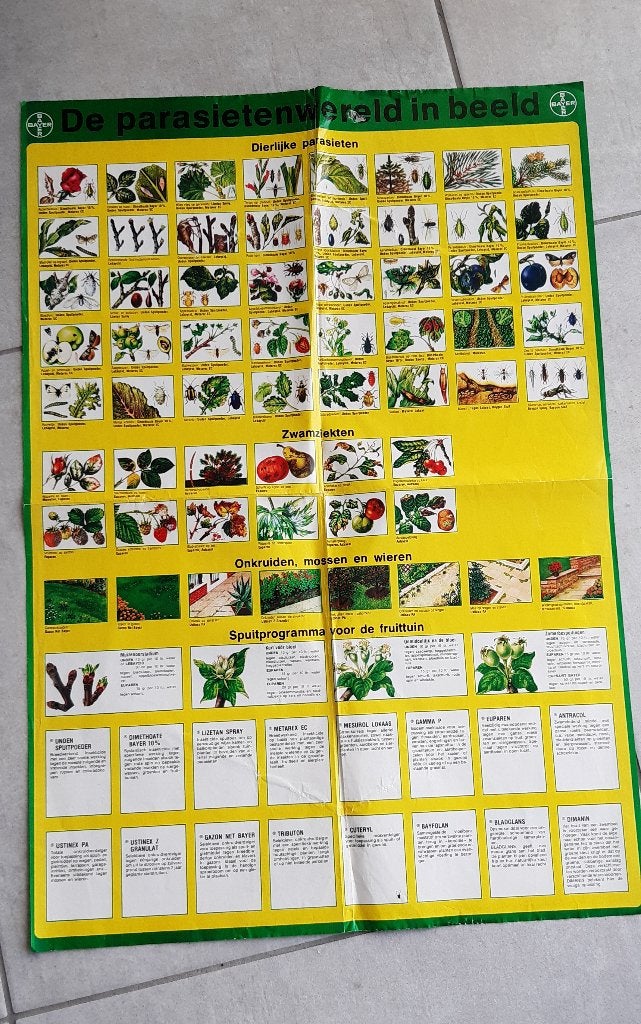 affiche Le monde des parasites - Bayer ; 42 x 60,5 cm, Collections, Posters & Affiches, Enlèvement ou Envoi, A1 jusqu'à A3, Rectangulaire vertical