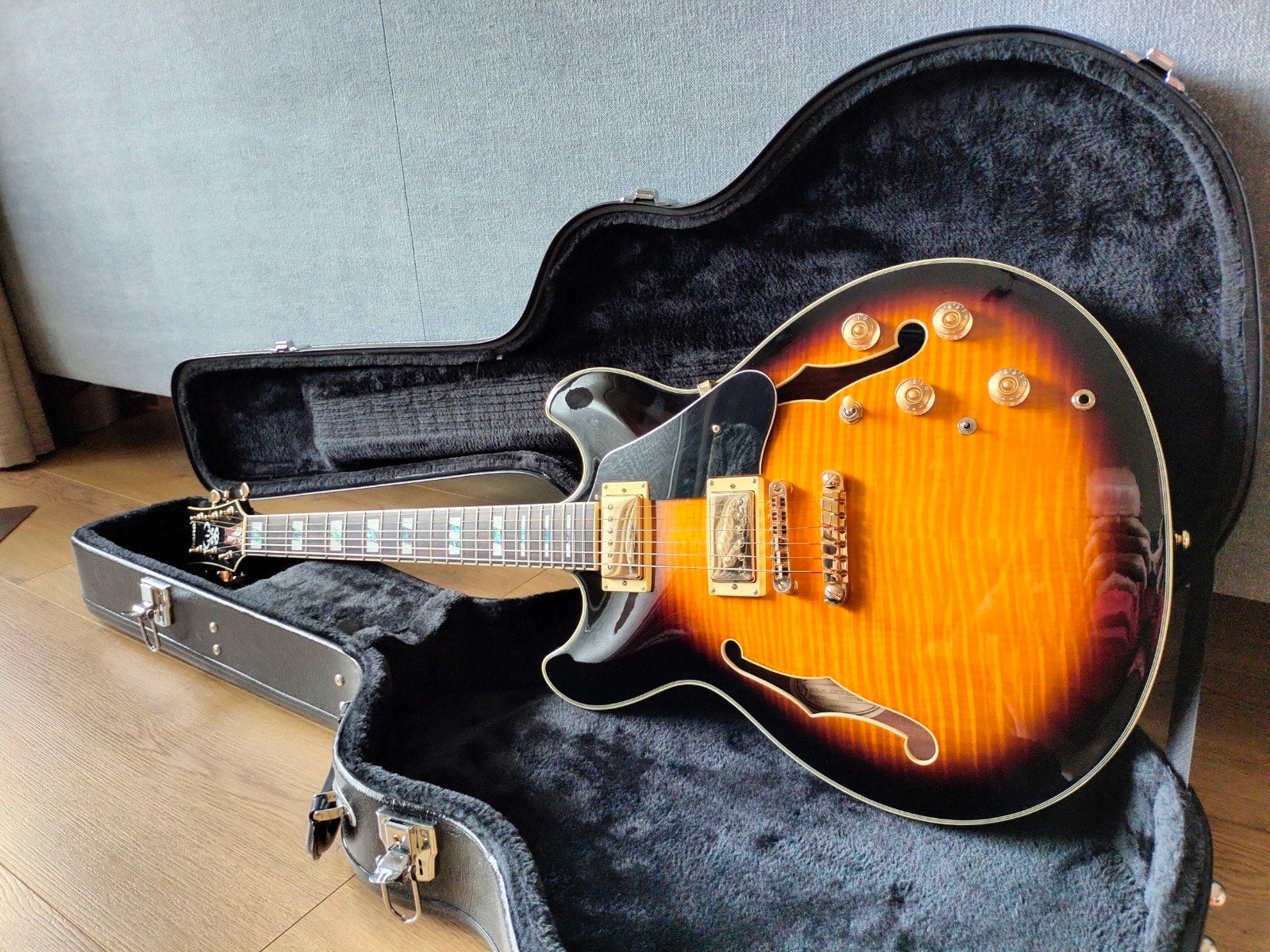 Ibanez jsm10 VYS John Scofield, Ophalen, Hollow body, Fender