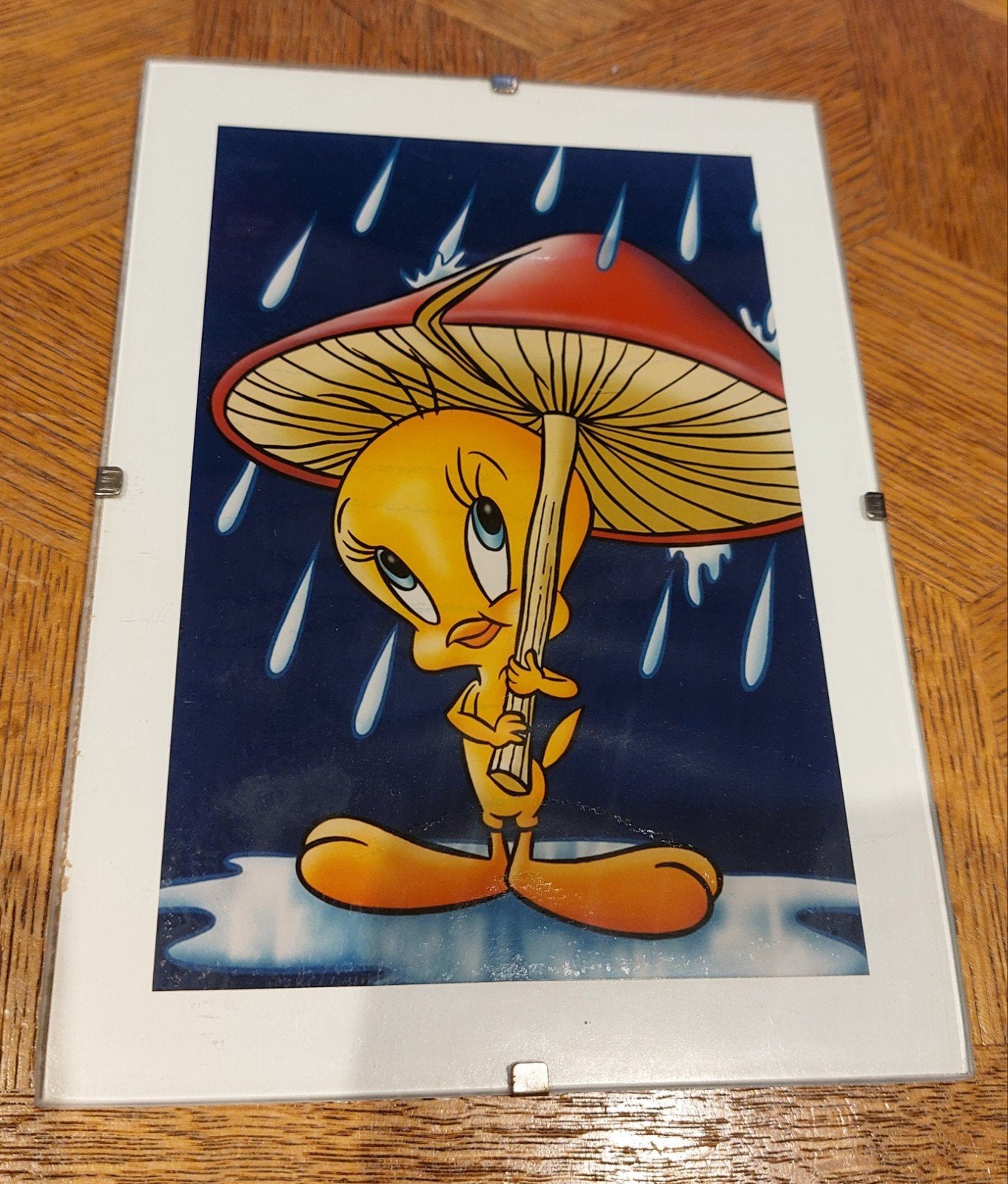 Zeldzame Looney Tunes Tweety Poster in Glazen Wissellijst –, Ophalen of Verzenden
