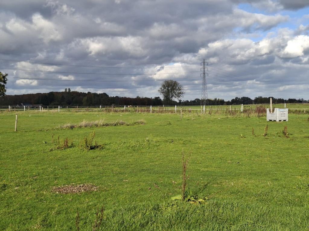 Stalling + weidegang + loopstal met aansluitende paddock, Dieren en Toebehoren, Weidegang