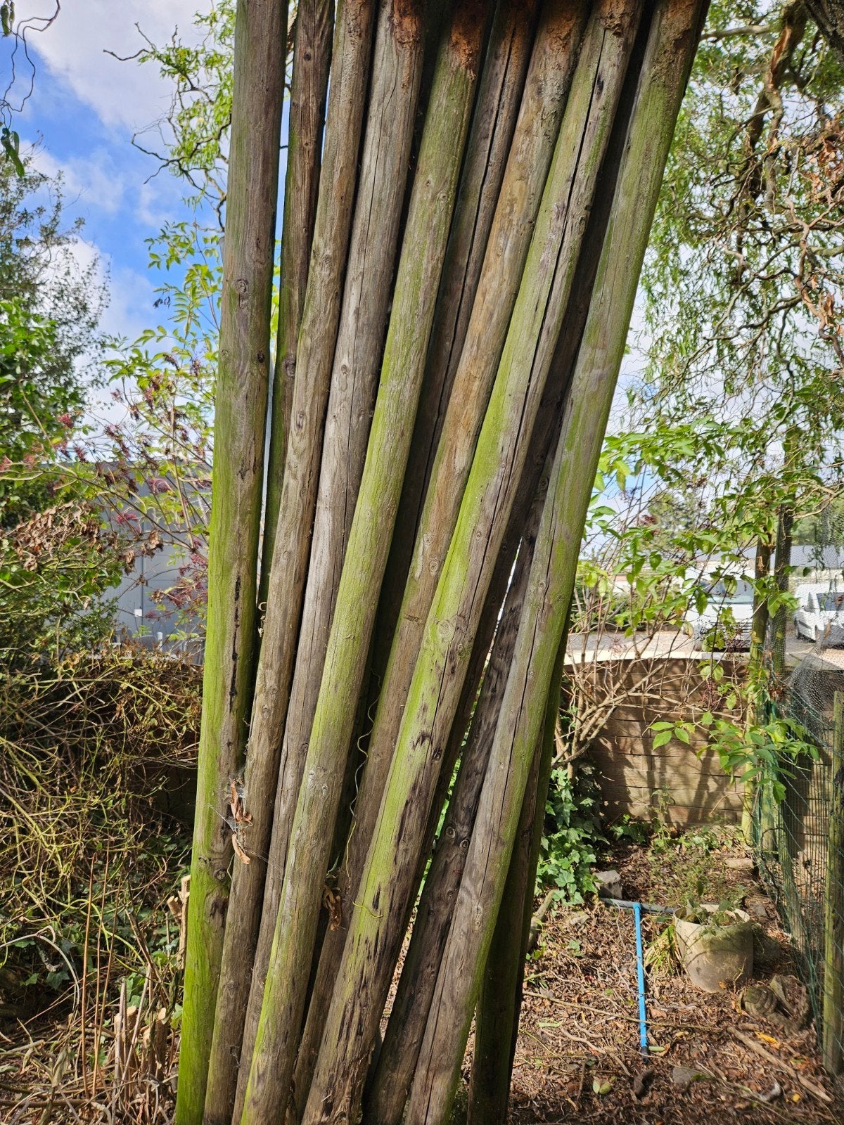 geïmpregneerde weidepalen, Tuin en Terras, Ophalen, 250 cm of meer, Palen