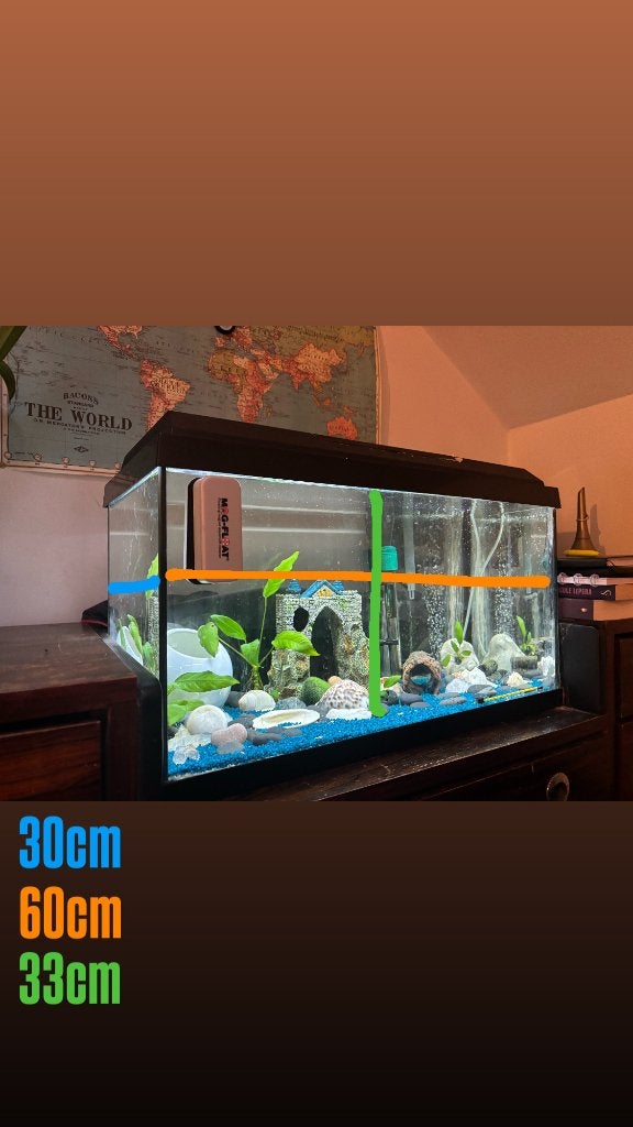 Aquarium 60L, Dieren en Toebehoren, Gebruikt, Juwel, Filter, Ophalen