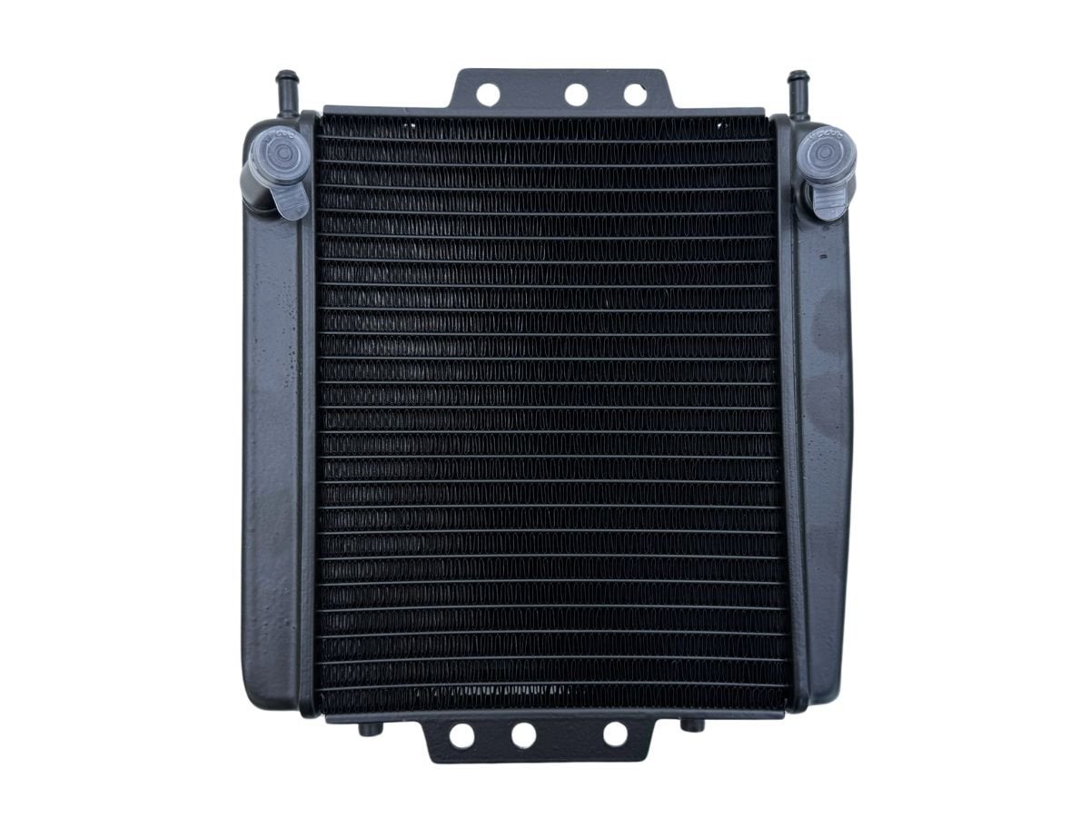 RADIATEUR Piaggio MP3 400 2007-2010 (1B001908), Motoren, Dhr. S. di Majo, Gebruikt, Info@cama-motorparts.nl, P.J. Troelstraweg 8 8
3144 CX  MAASSLUIS, NL