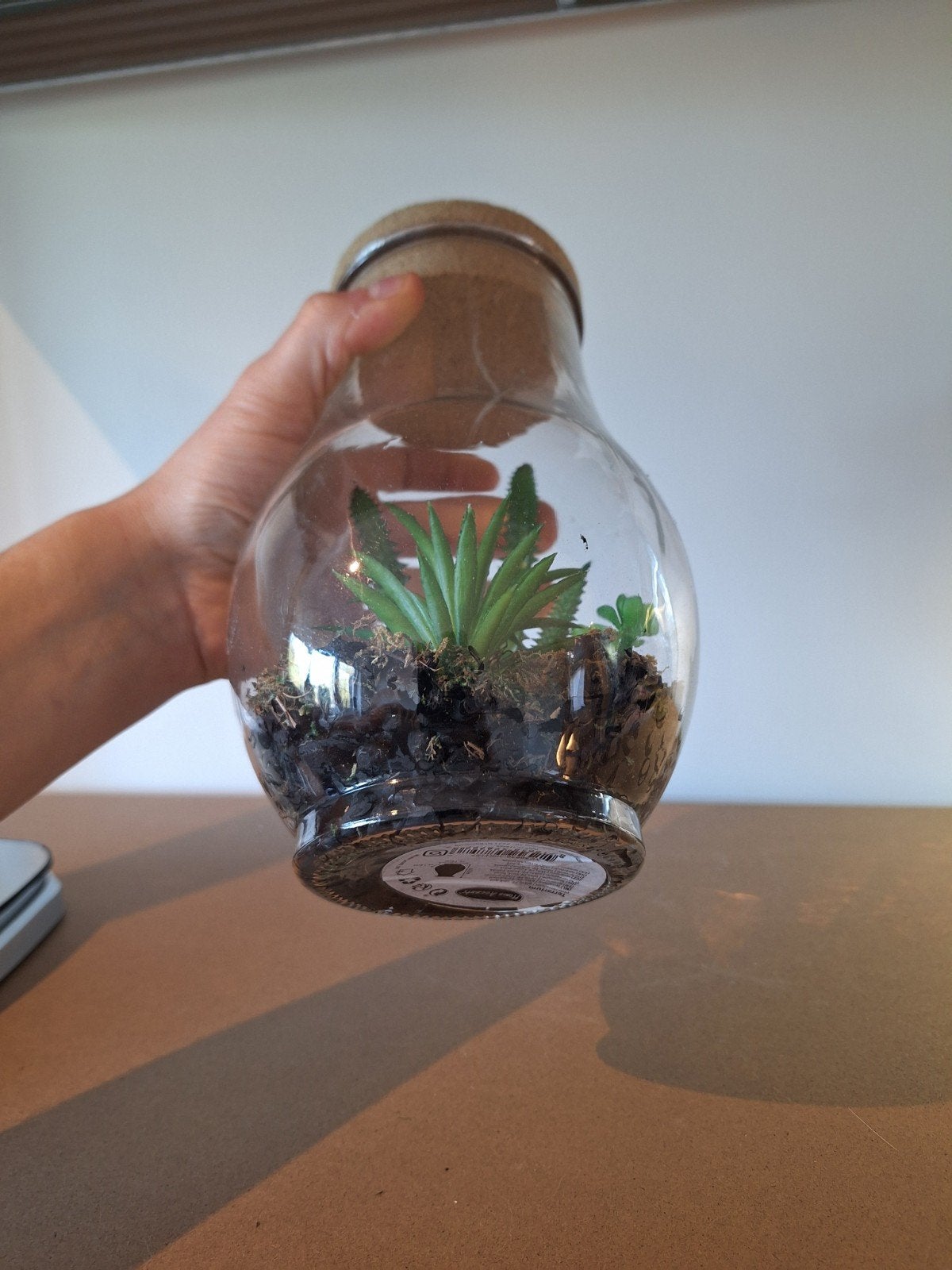 Planten terrarium met kurken deksel., Ophalen of Verzenden, Minder dan 100 cm