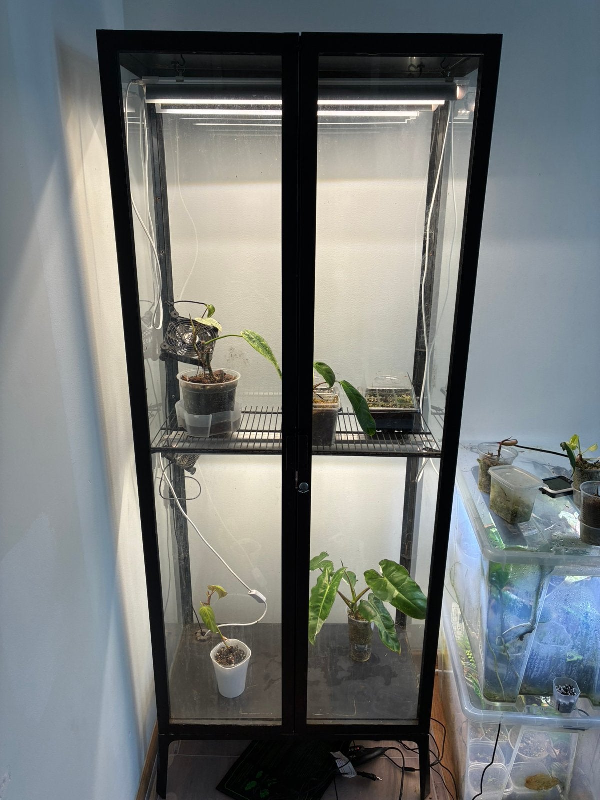 Ikea Milsbo Greenhouse, Maison & Meubles, Armoires | Vitrines, Avec porte(s), Verre, Utilisé, 50 à 100 cm