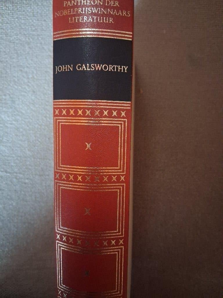 JOHN GALSWORTHY /PANTHEON DER NOBELPRIJSWINNAARS LITERATUUR, Boeken, Ophalen of Verzenden, JOHN GALSWORTHY