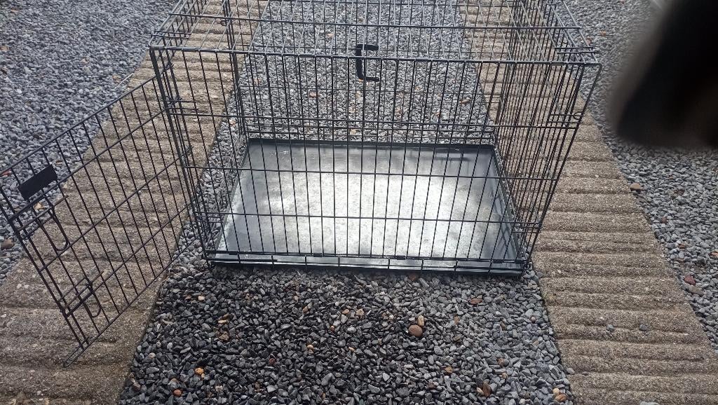 Banc en fer pour chien, Enlèvement, Utilisé