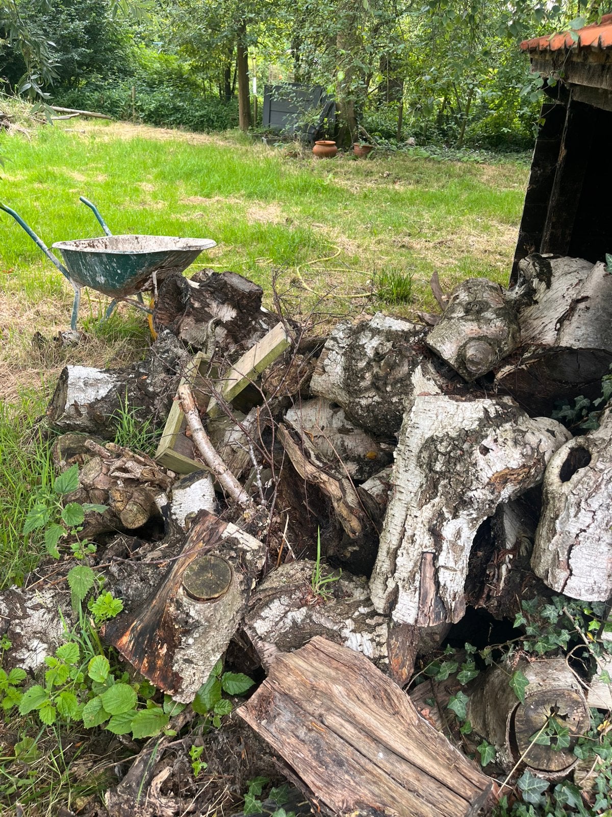 Brandhout (snoeihout wilg, linde, berk), Tuin en Terras, Brandhout, Ophalen, Stammen