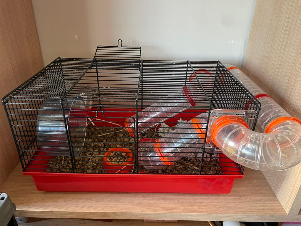 Hamsterkooi met buizen, Dieren en Toebehoren, Knaagdieren en Konijnen | Hokken en Kooien, Ophalen, Gebruikt, Kooi