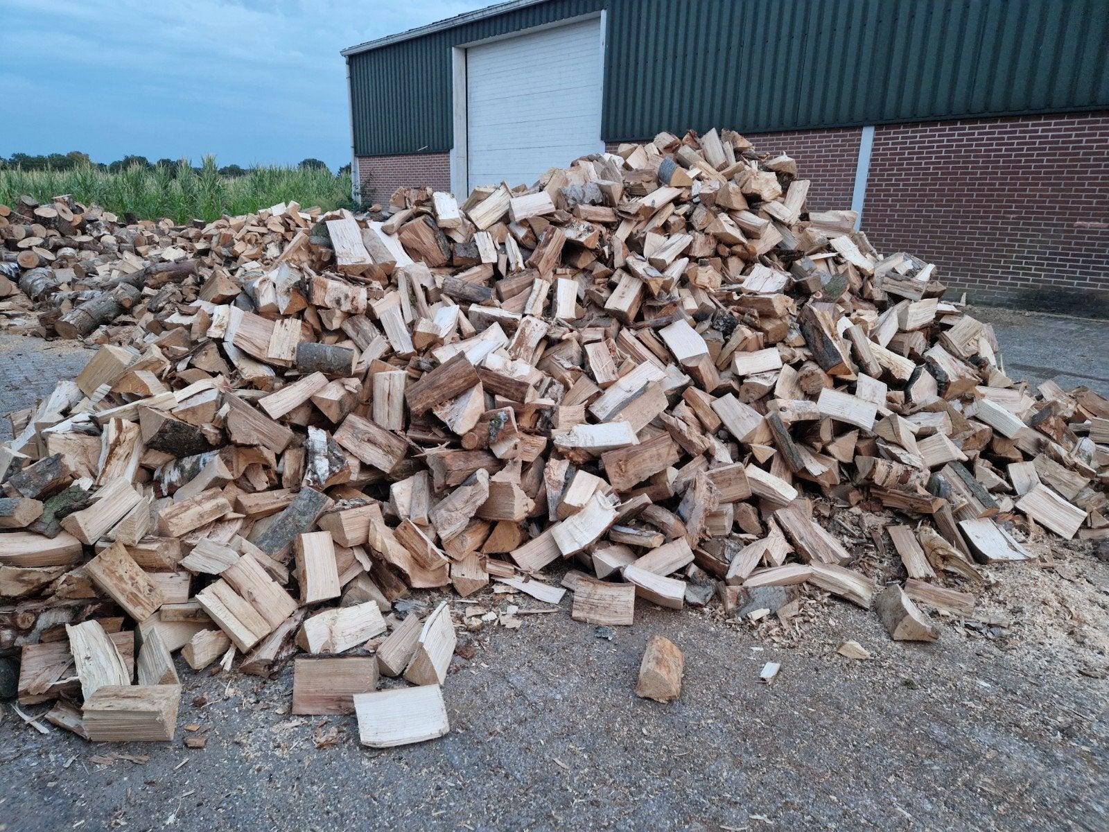 Brandhout mooie mix!, Tuin en Terras, Brandhout, 6 m³ of meer, Ophalen, Overige houtsoorten, Blokken
