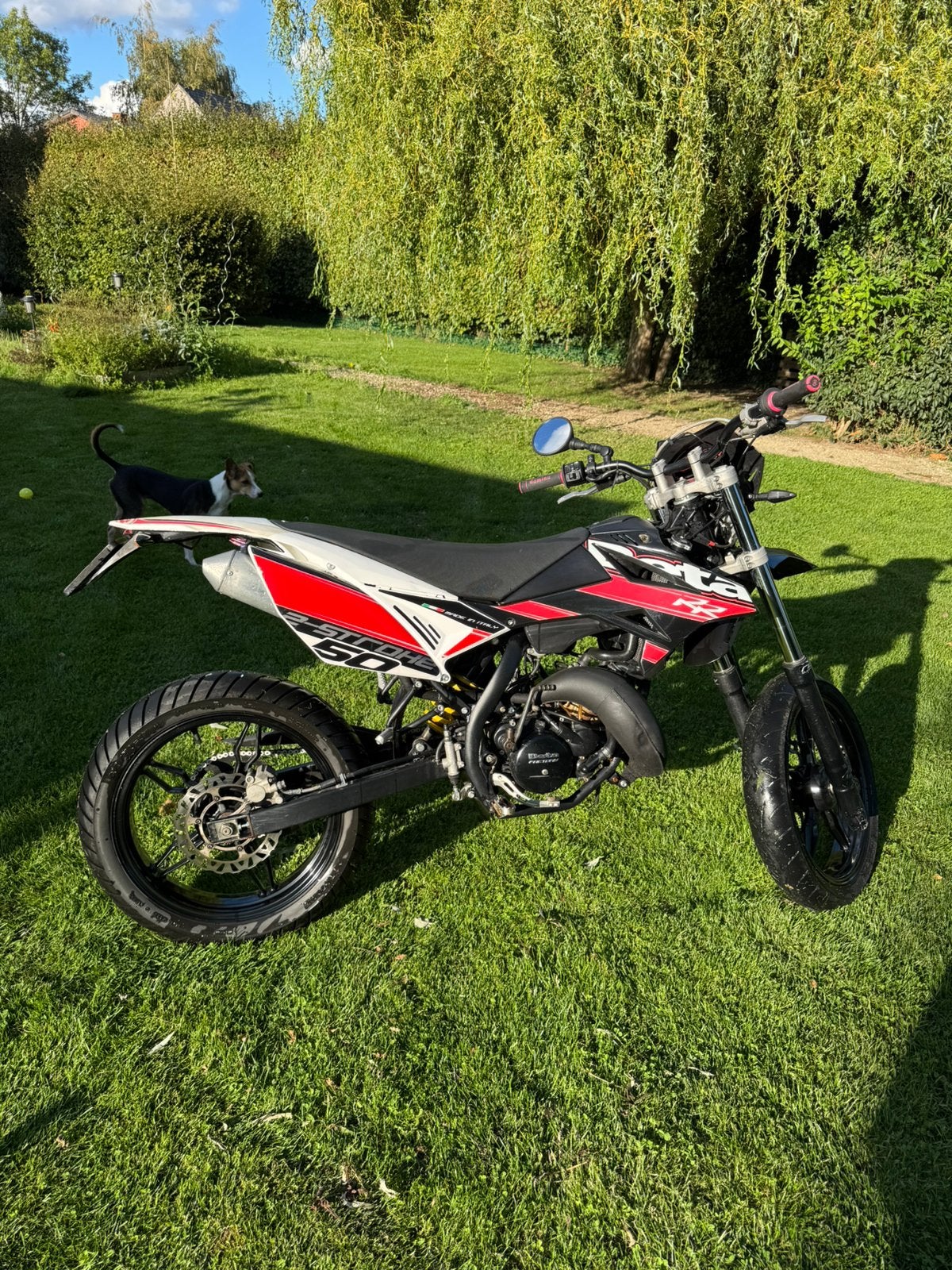 Originele Beta 50 rr, Fietsen en Brommers, Ophalen, 6 versnellingen, Gebruikt, 49 cc