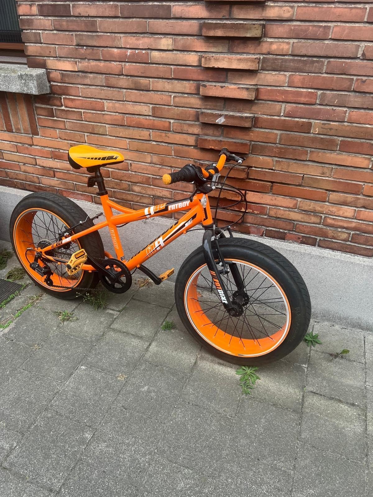fiets speciaal, Vélos & Vélomoteurs, Enlèvement