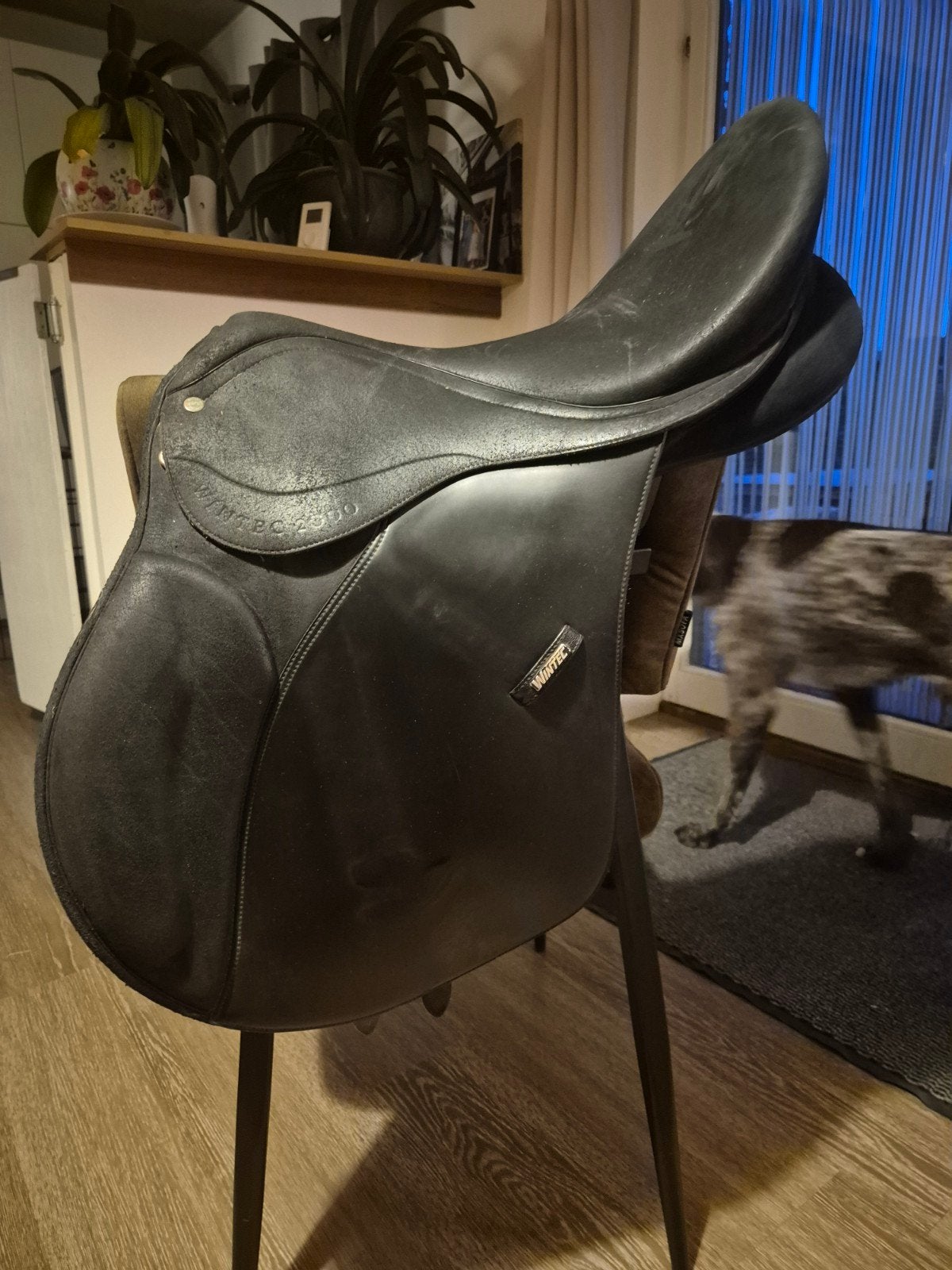 Wintec 2000 zadel, L (17.5 inch), Wijd, Ophalen of Verzenden, Aanpassysteem