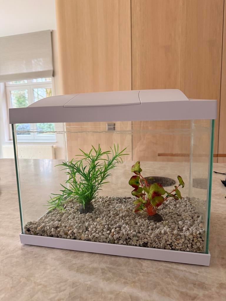 Aquarium SuperFish, Dieren en Toebehoren, Vissen | Aquaria en Toebehoren, Ophalen, Zo goed als nieuw