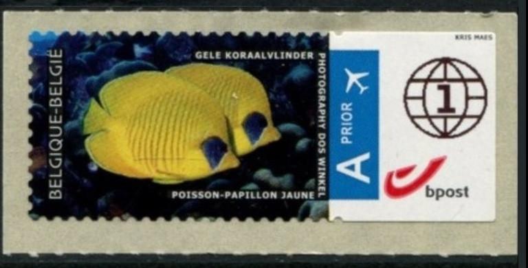ATM132A Poisson papillon jaune (Timbres Monde), Timbres & Monnaies, Timbres | Europe | Belgique, Envoi, Timbre-poste, Autocollant