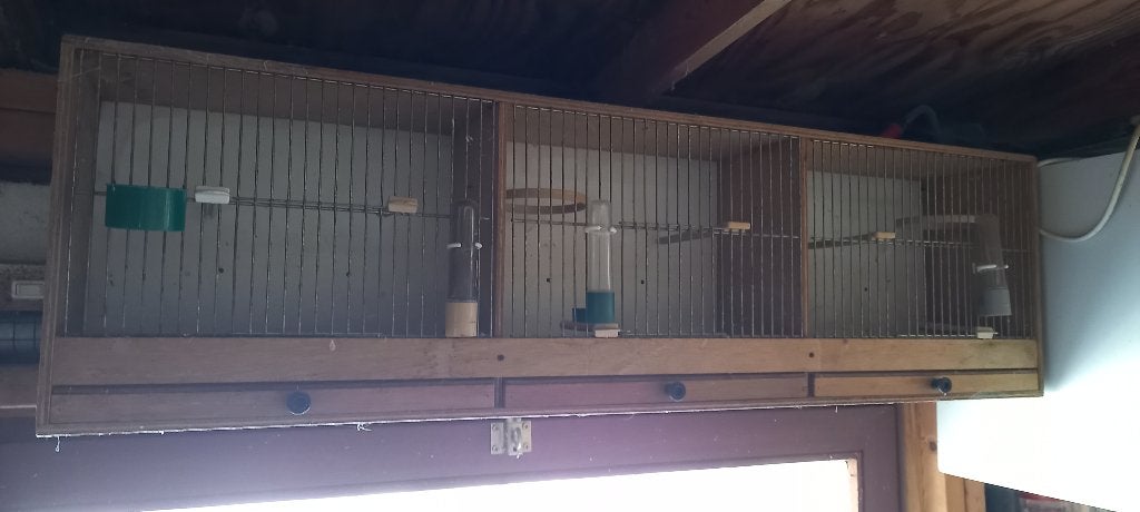 3 kleine vogelkooitjes aan elkaar in één geheel., Animaux & Accessoires, Oiseaux | Cages & Volières, Enlèvement, Utilisé, Bois