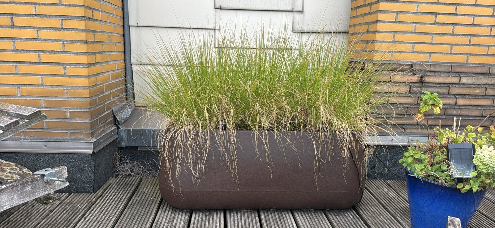 Grande jardinière avec graminée – 120 €, Enlèvement, Comme neuf