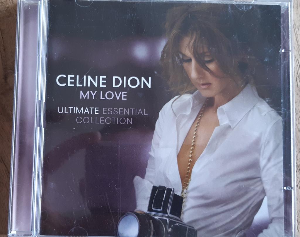 CÉLINE DION, Enlèvement